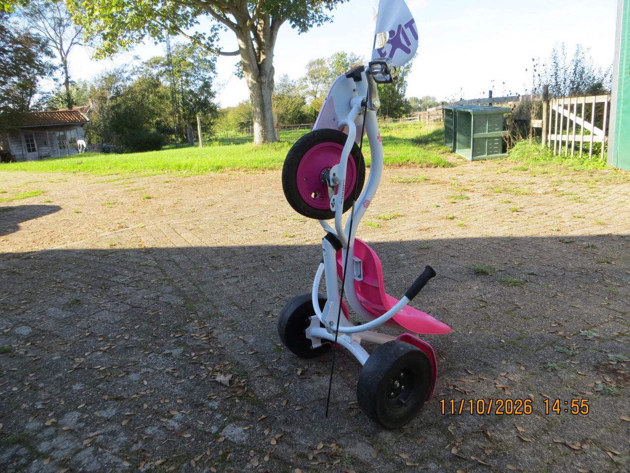 Triker Lady Rocker