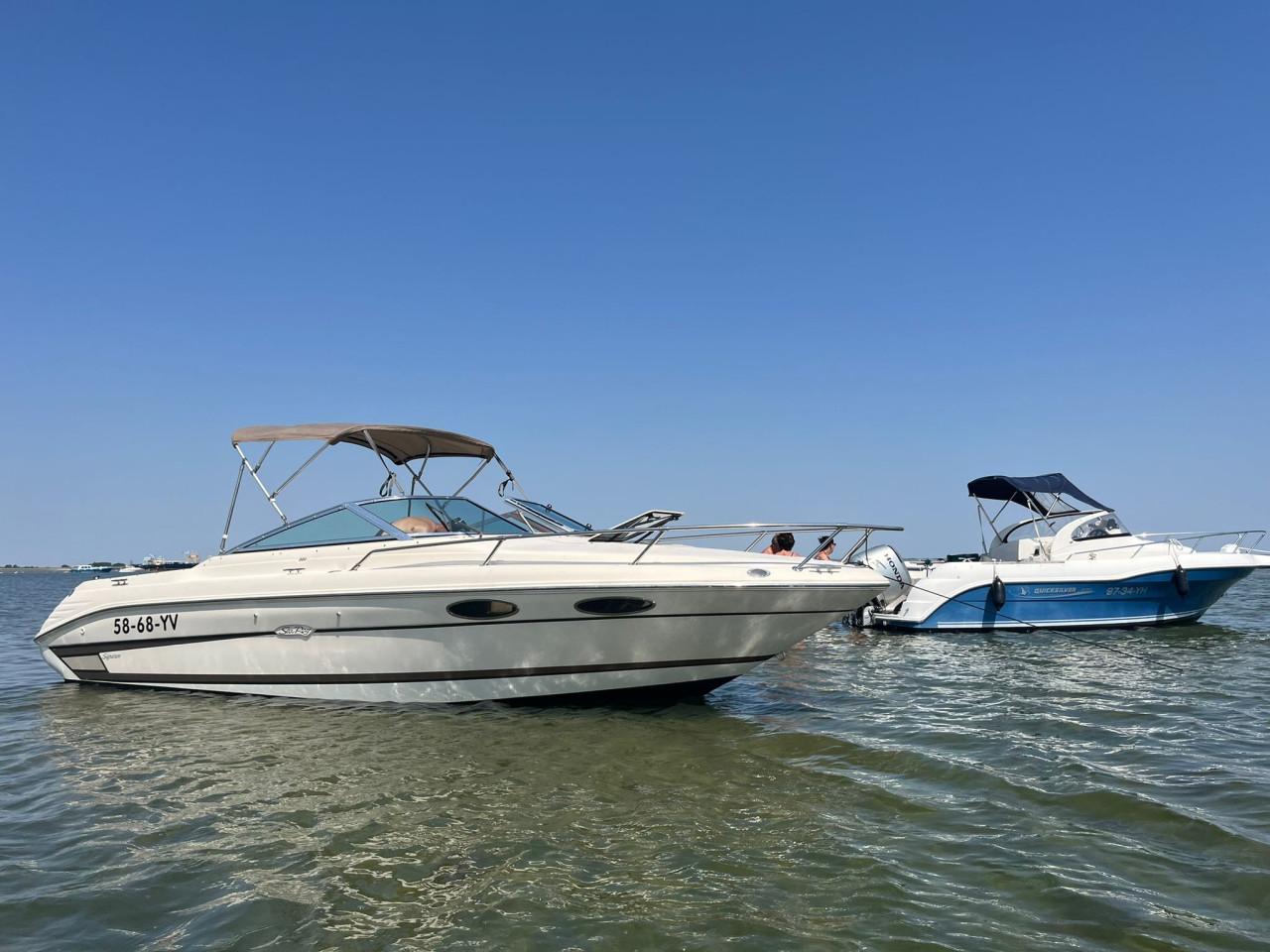 Sea Ray 220 Refit 2022 - Mooie Cuddy Cabin, V8!