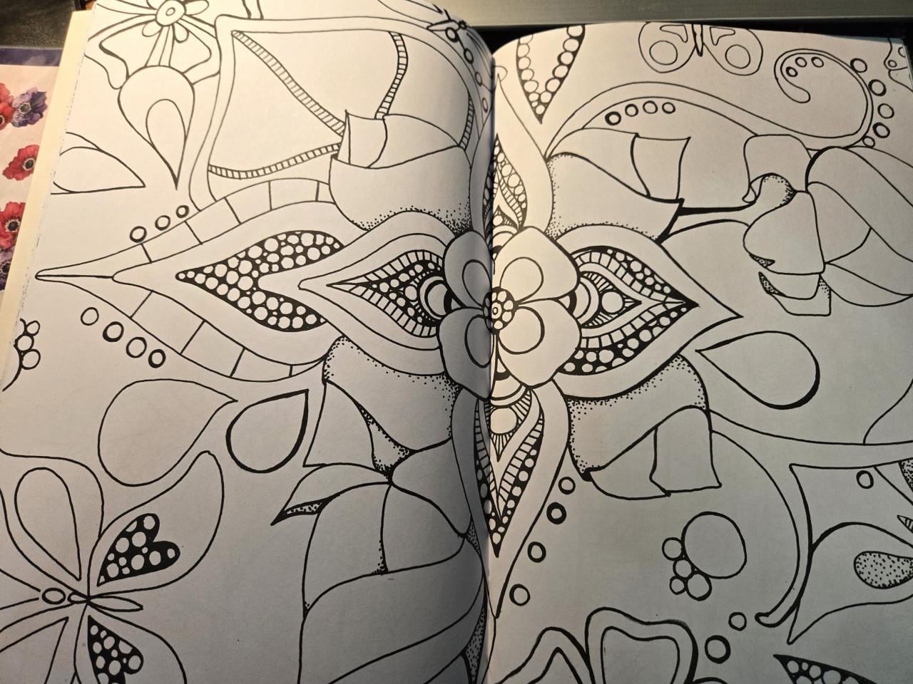 Dutchbook kleurboek, Nieuw