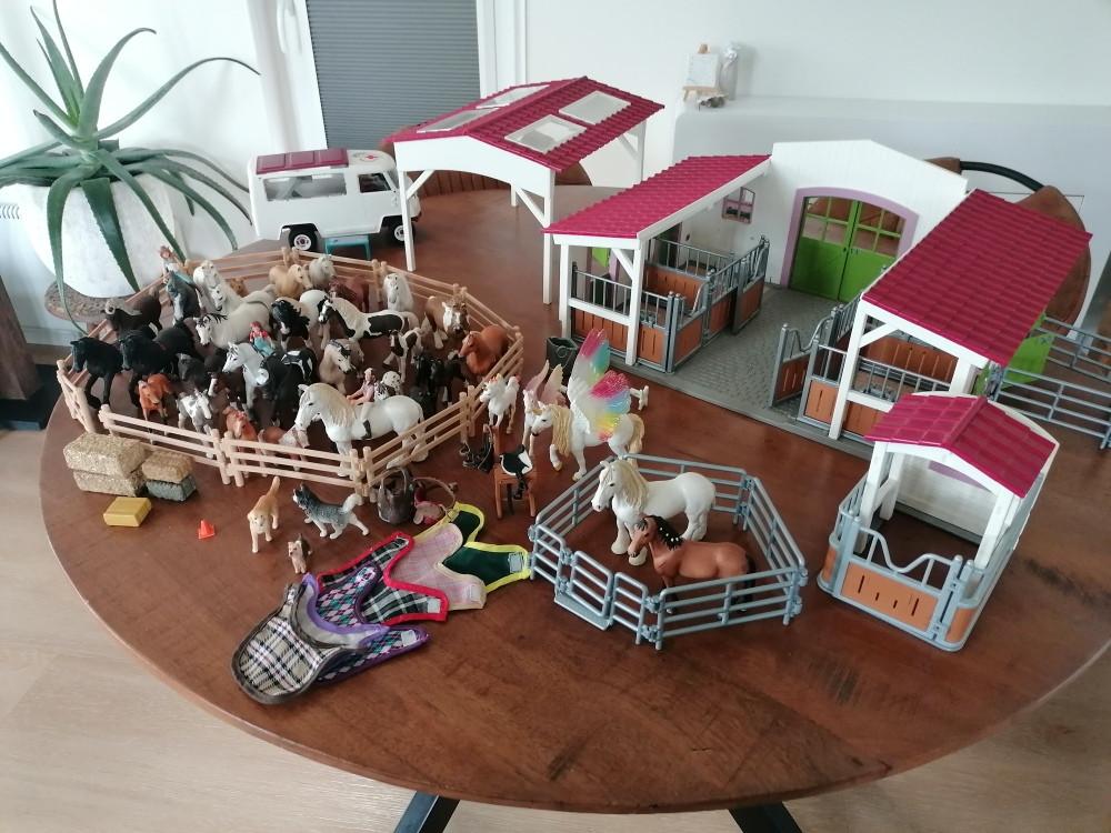 Schleich manege,mobiele dierenarts, paarden ,stalletje, enz.