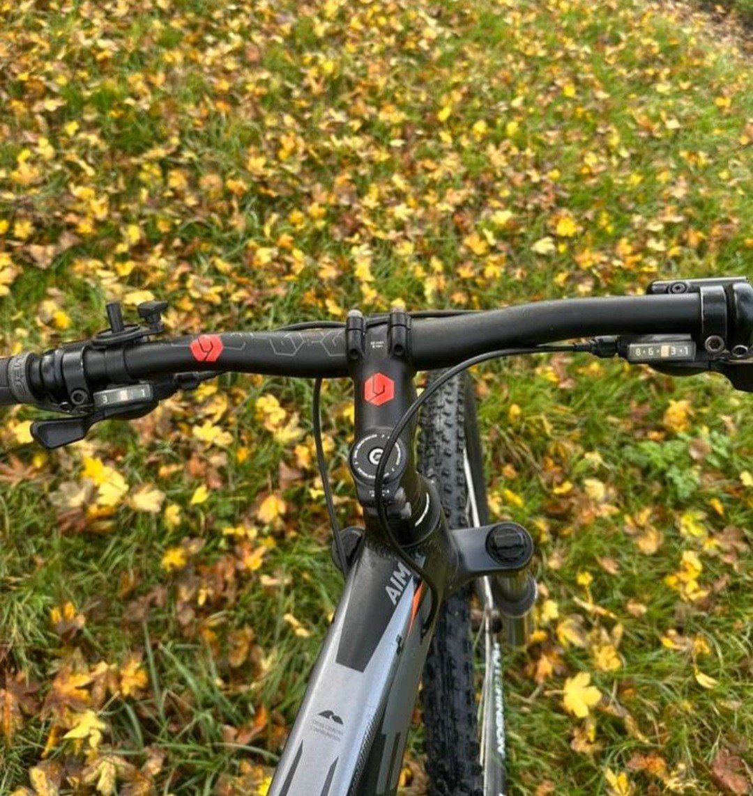 Mountainbike Cube Aim CMPT 29 inch
