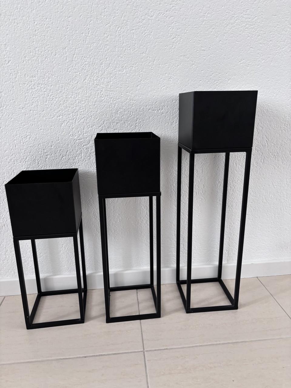 3 staande planten bakken