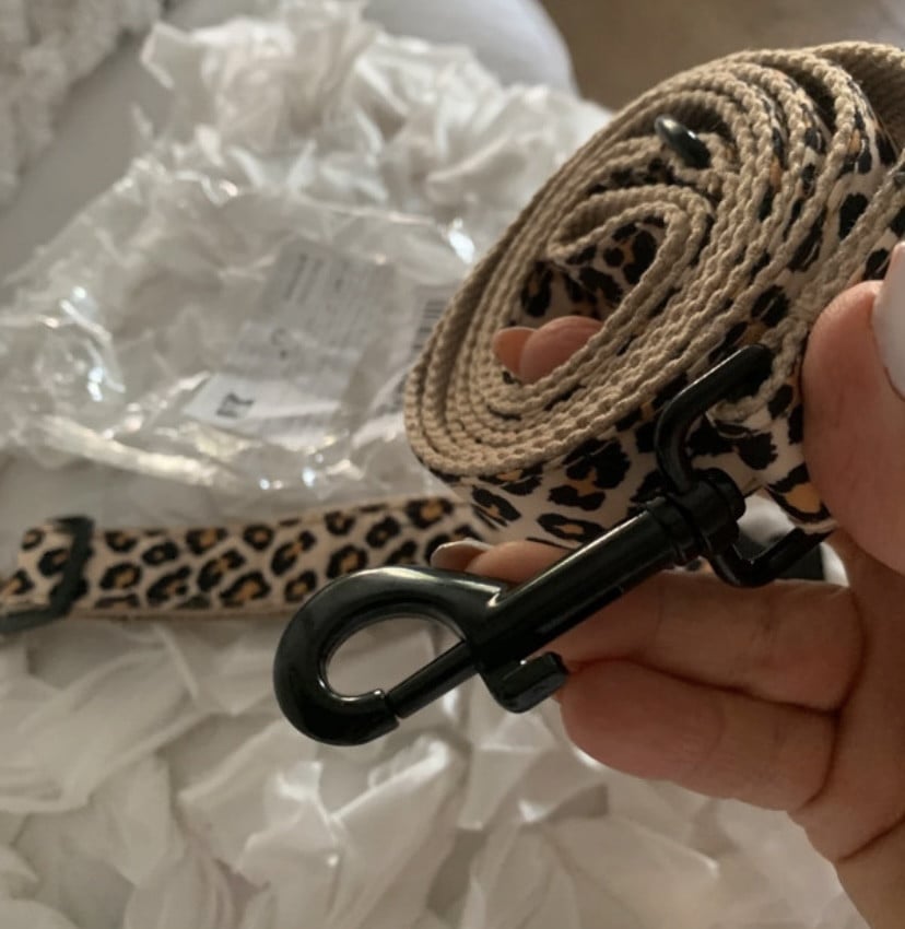 Honden halsband met riem
