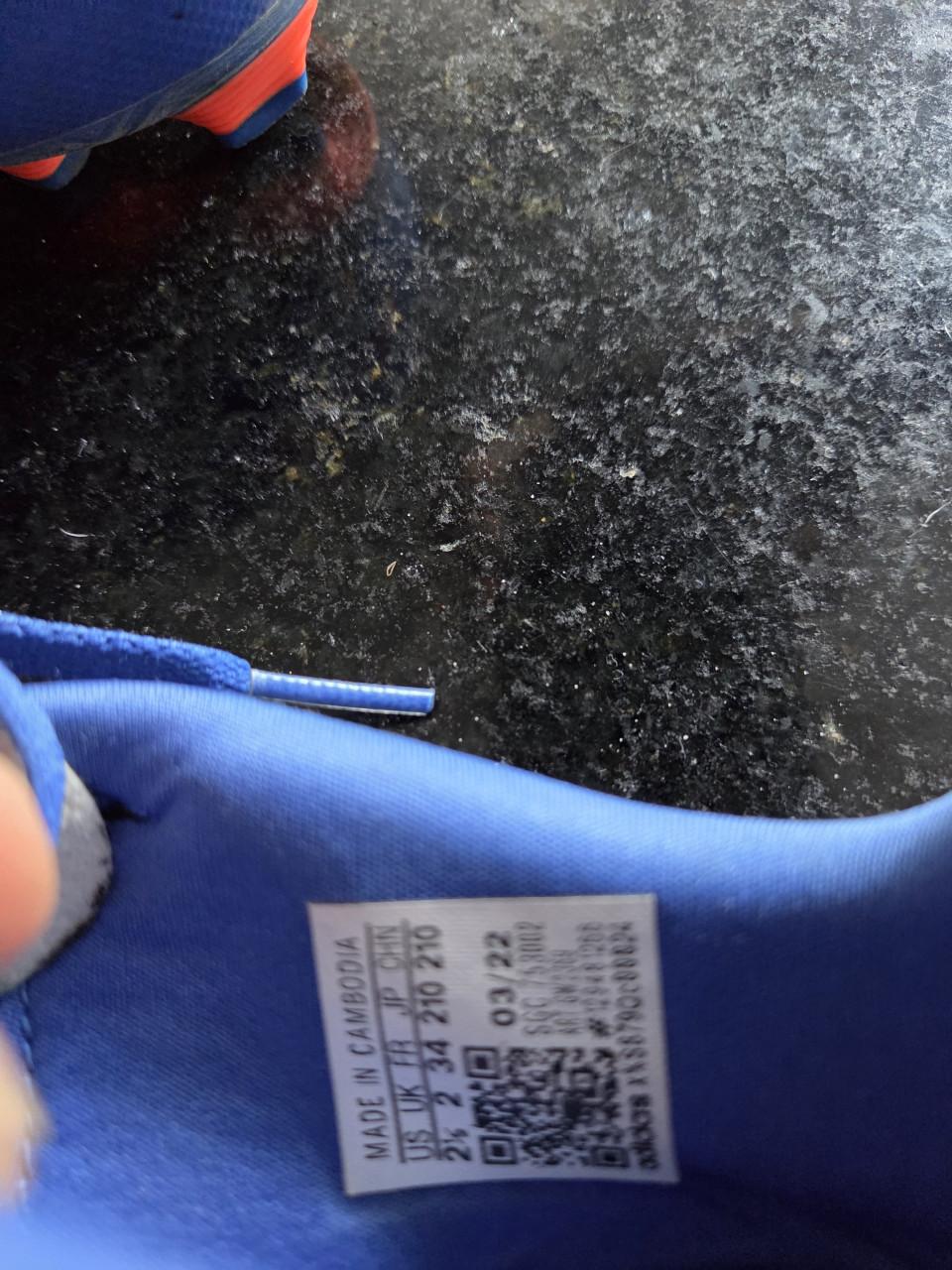 Voetbalschoenen Adidas maat 34