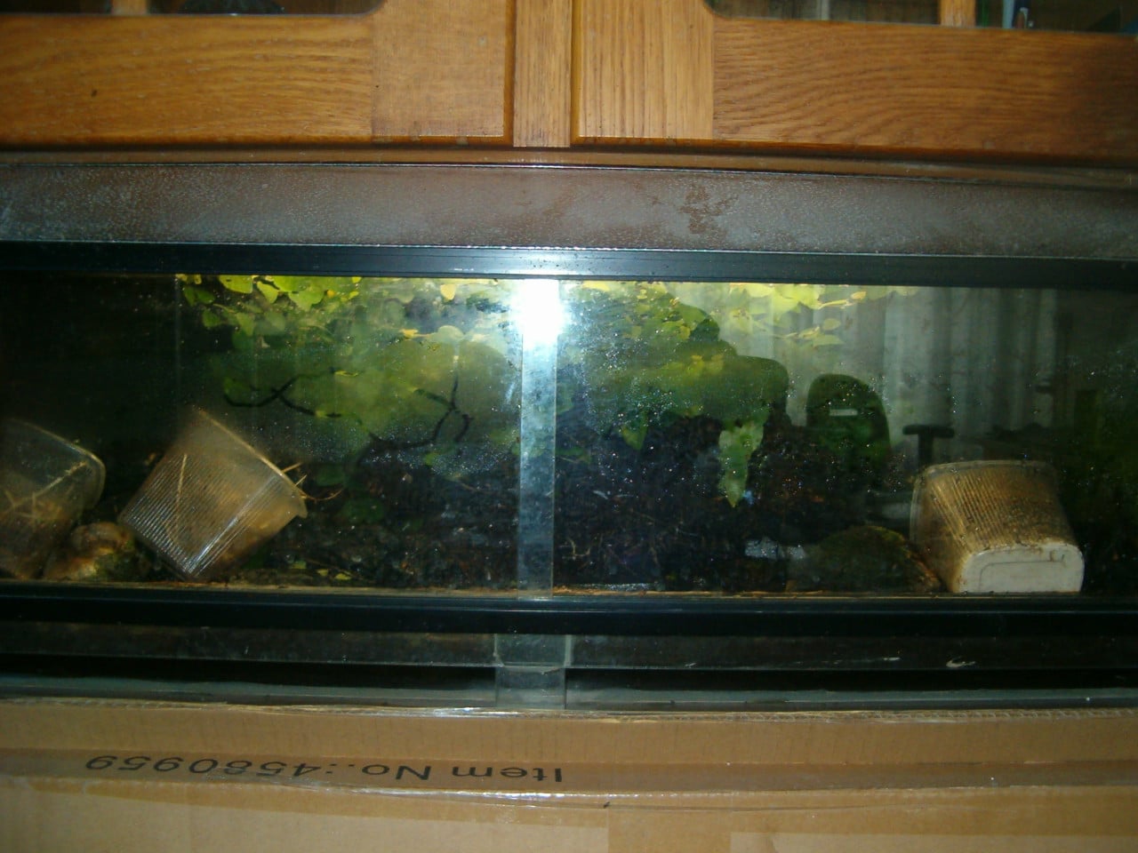 Terrarium L 86 cm Hoog 30 cm Diep 45 cm