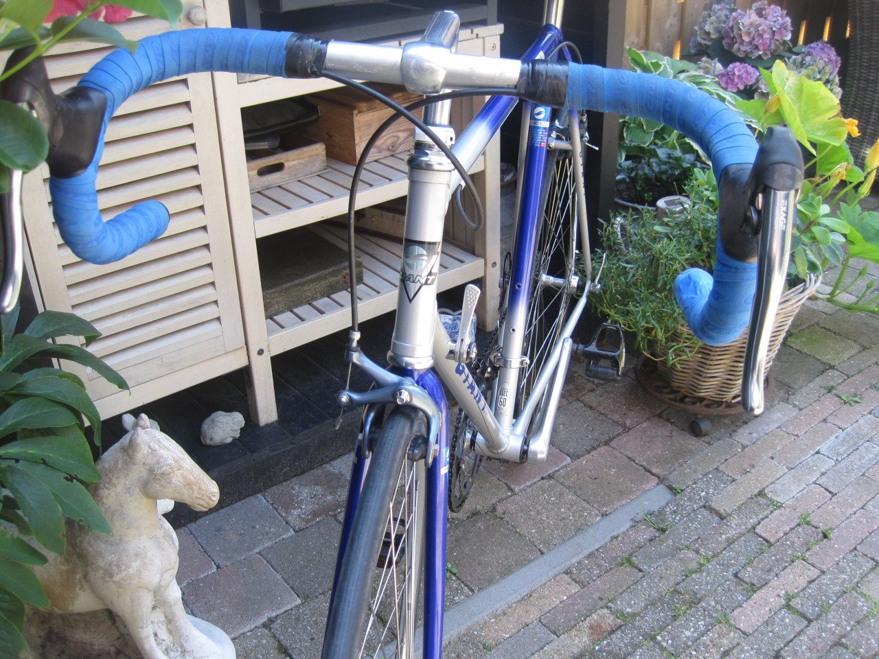 Racefiets Giant staal