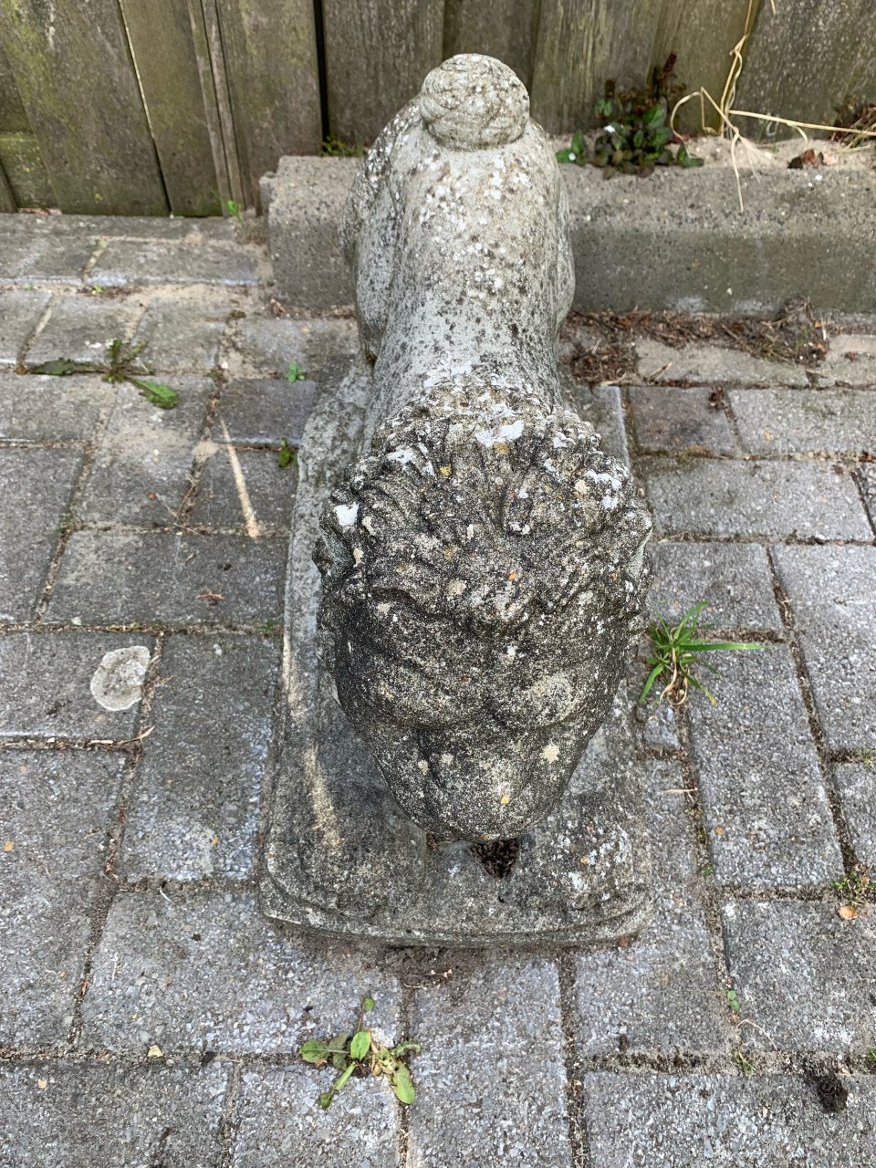 Sierbeeld