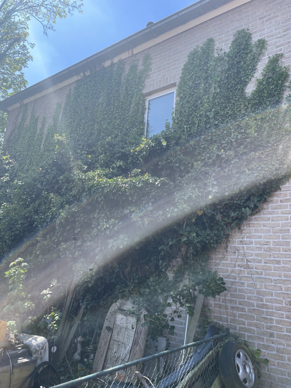 Tuinonderhoud