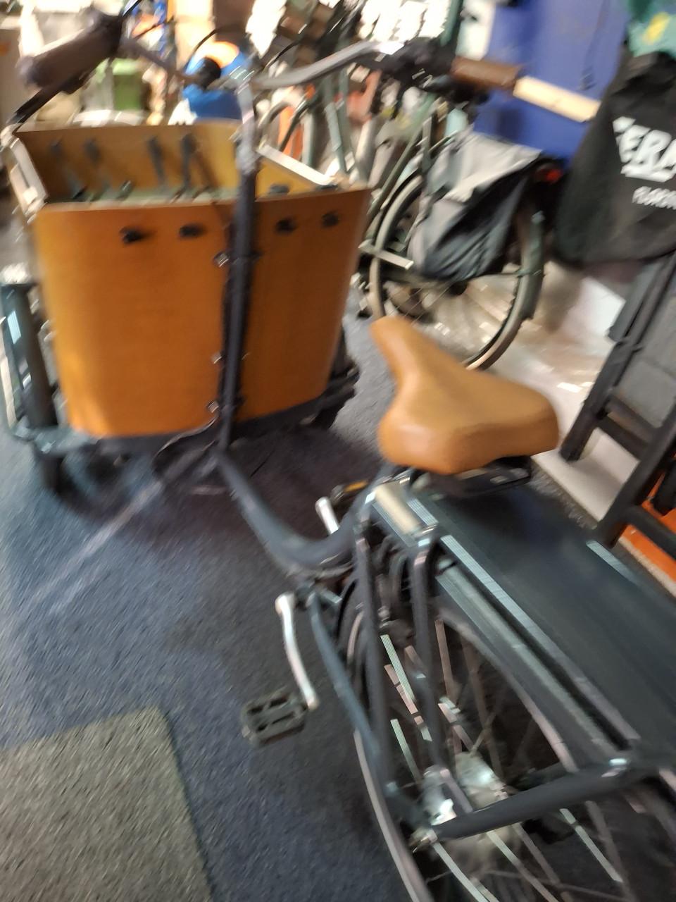 Bamboe Bakfiets Curve Electric