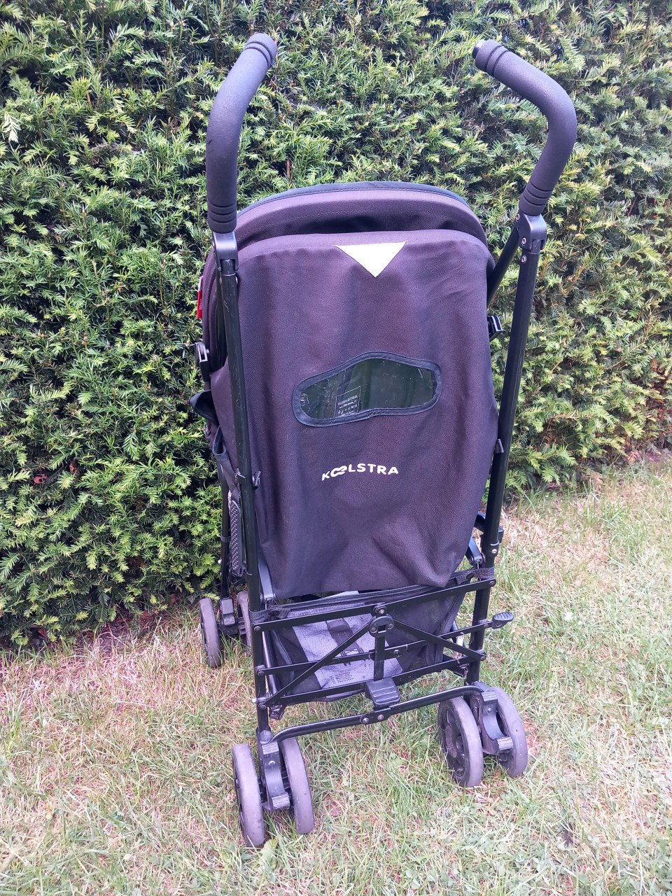 Koelstra Simba buggy