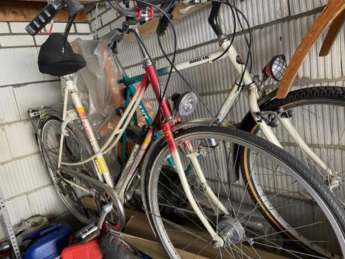 Gazelle Tourmalet  opknapper