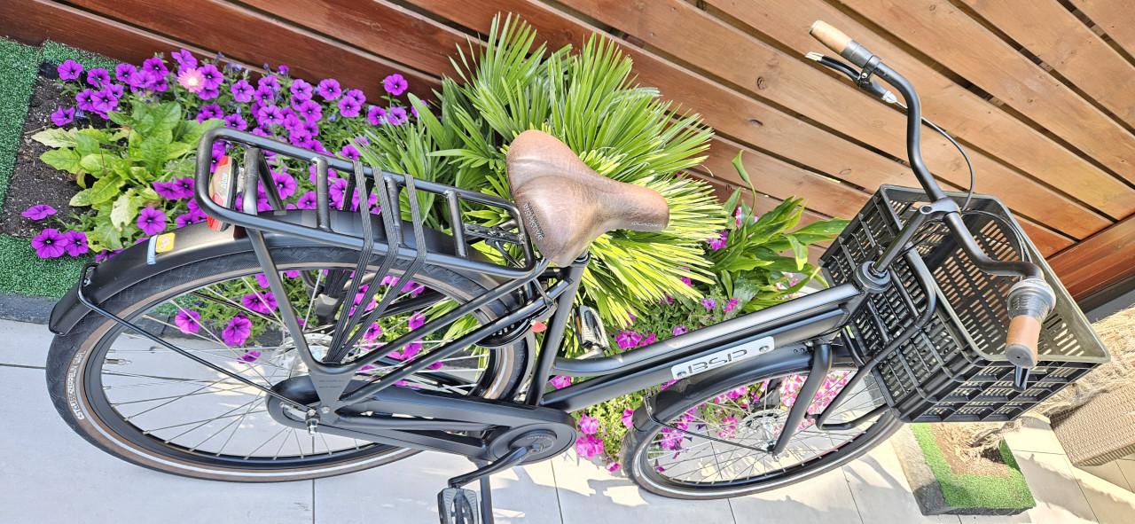 BSP Barista Damesfiets