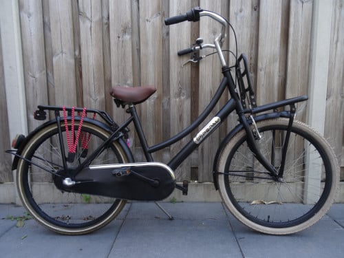 Popal Daily Dutch 24 inch meisjesfiets 3 versnellingen