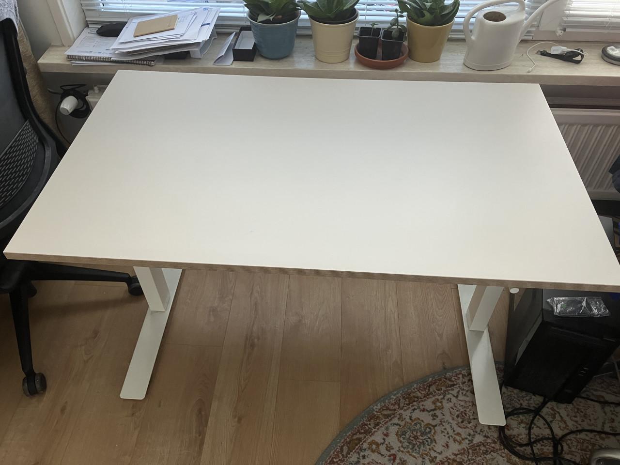 SKARSTA Bureau zit/sta, wit, 120x70 cm