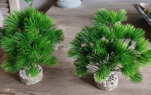 2 mooie  bonsai voor aquarium