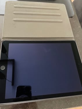IPad Air 2 16Gb kleur licht grijs