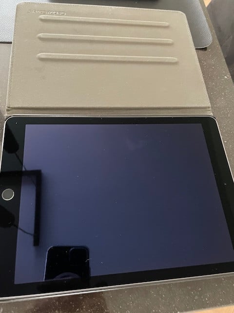 IPad Air 2 16Gb kleur licht grijs