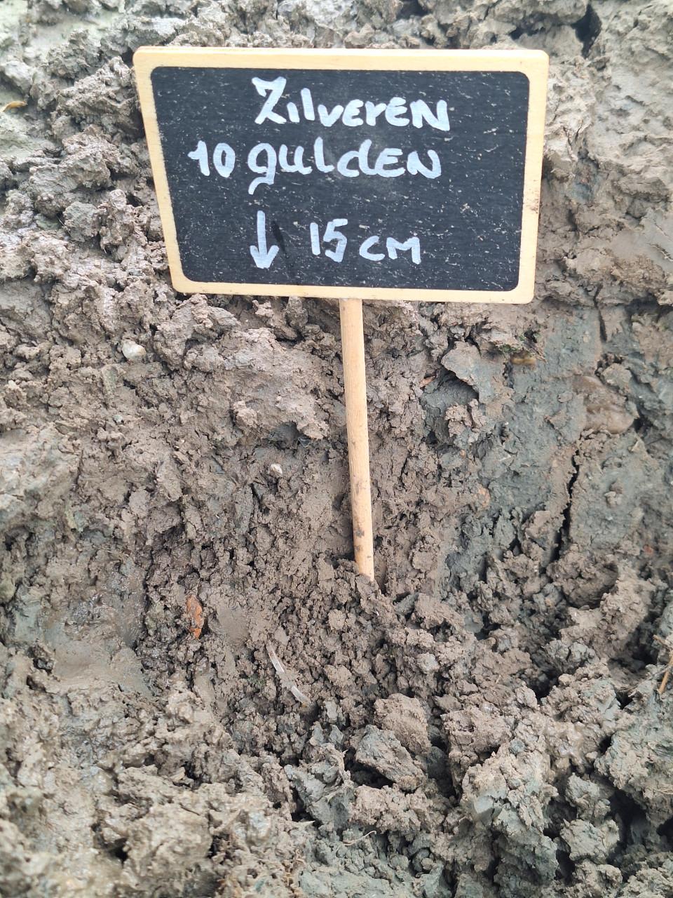 Metaaldetectie cursusdagen voor op land en strandlocaties