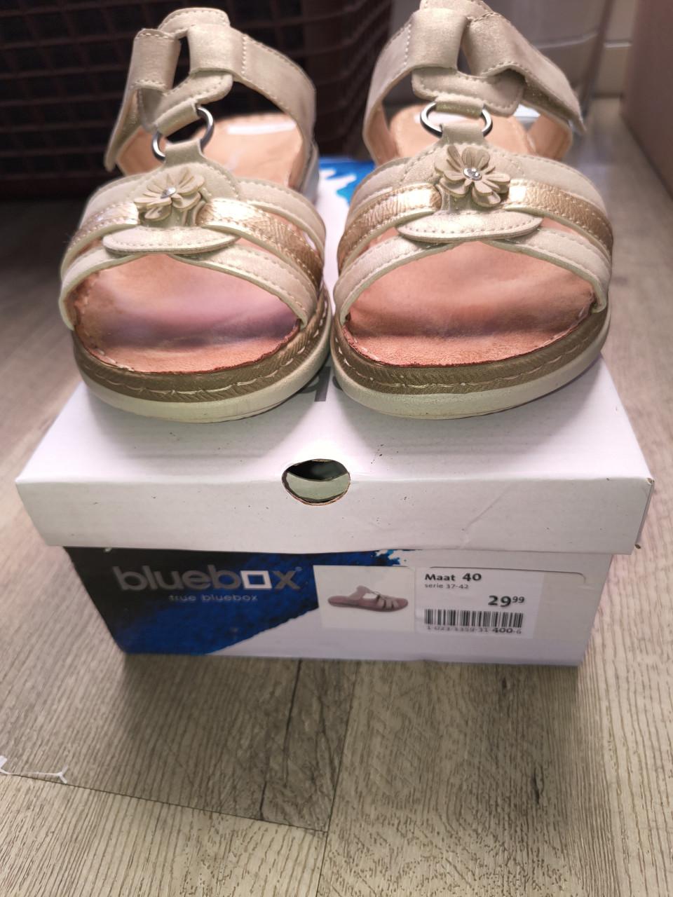 Damesschoenen