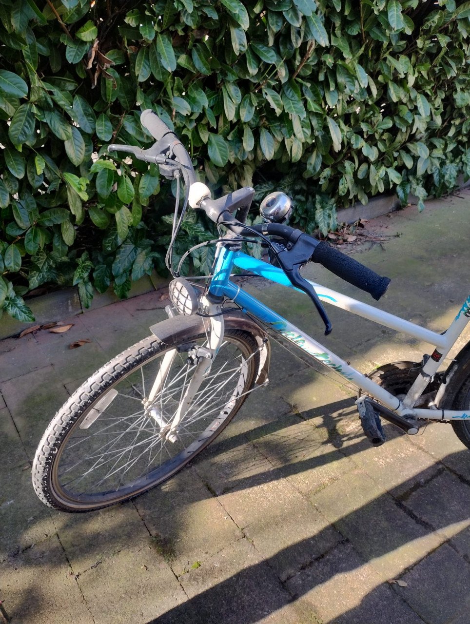 Mountainbike 26"