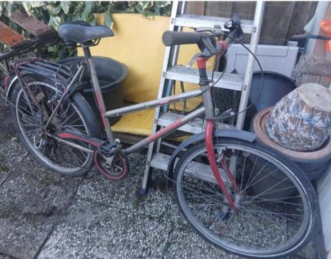 Fietsen dames & heren