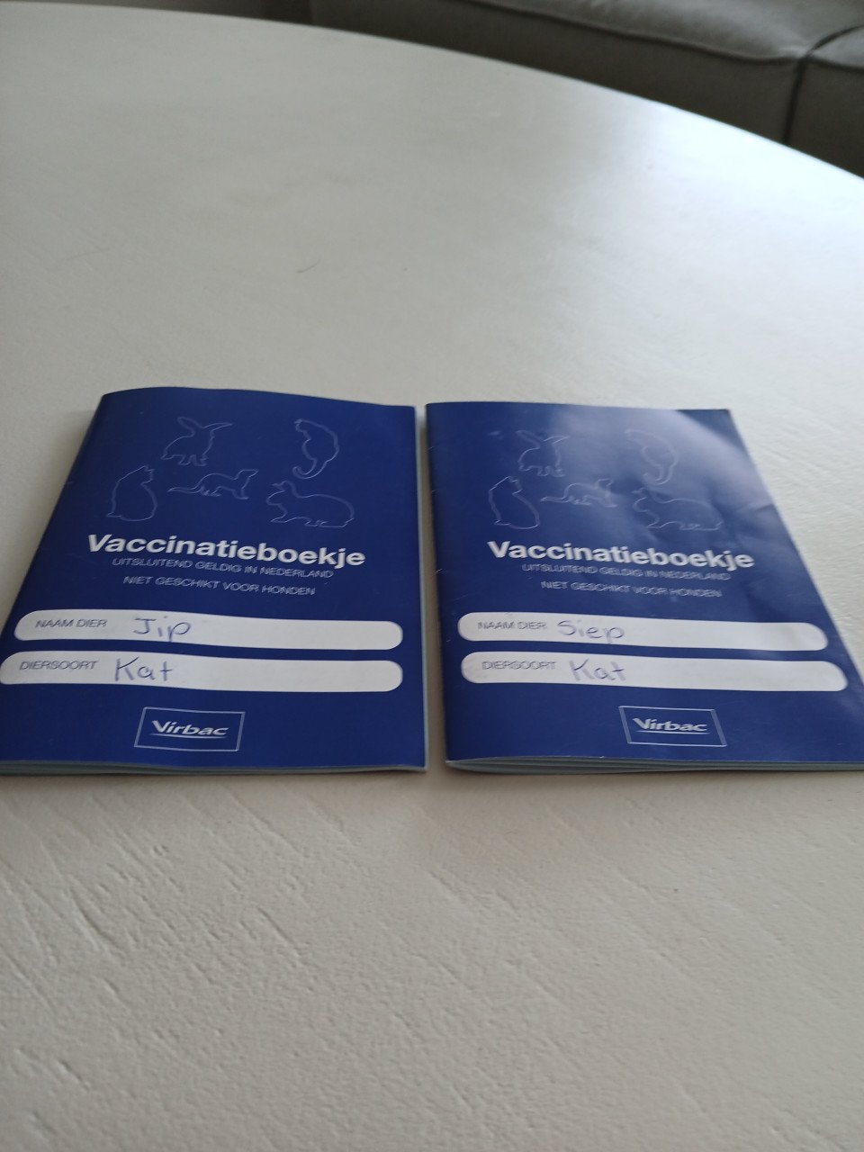 2 katten gecastreerd , gechipped , gevaccineerd , ontwormd
