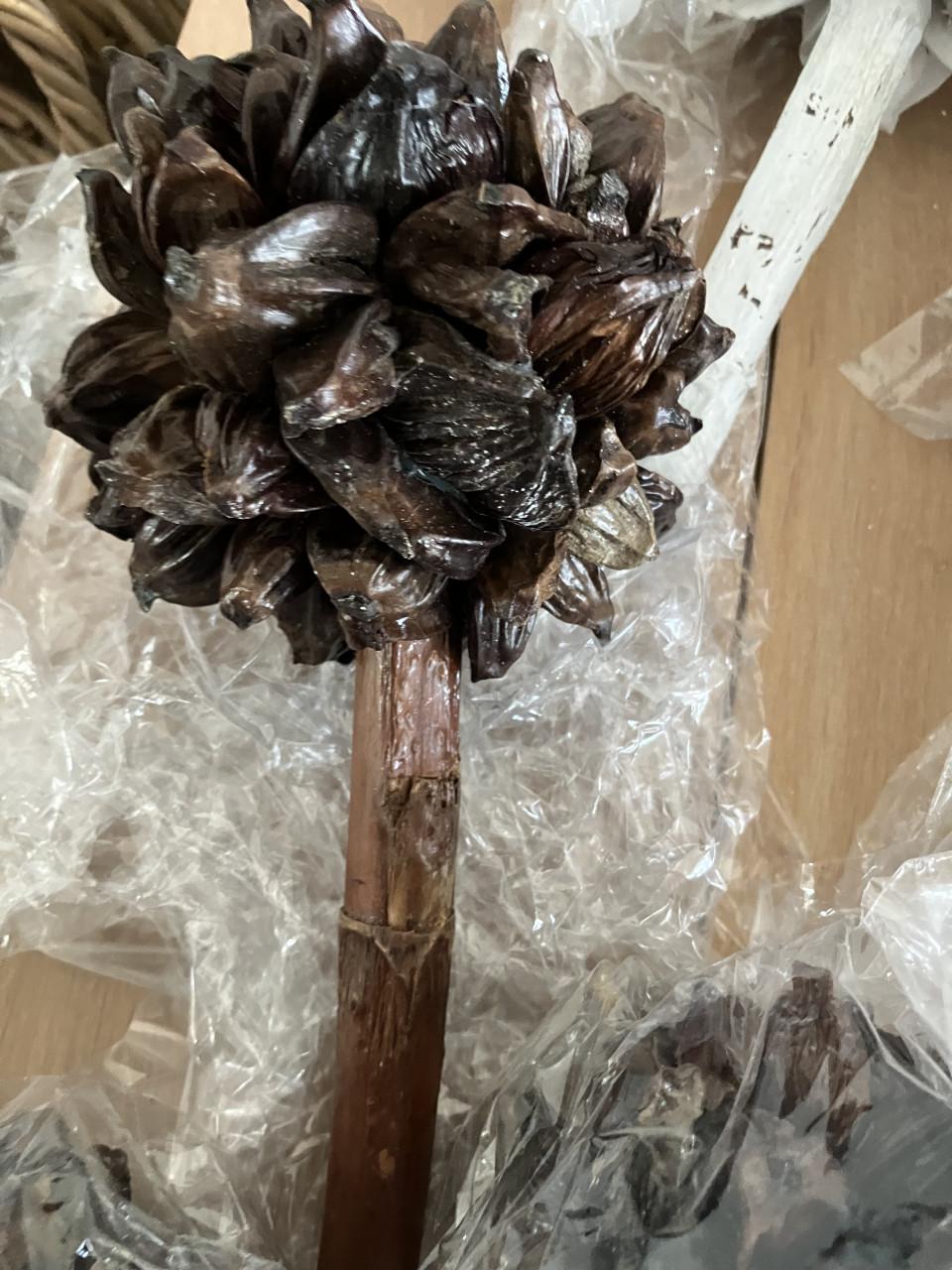 Sororoca bloem / Nippah palm