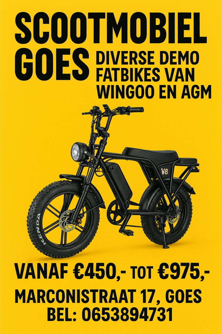Diverse Demo  Fatbikes