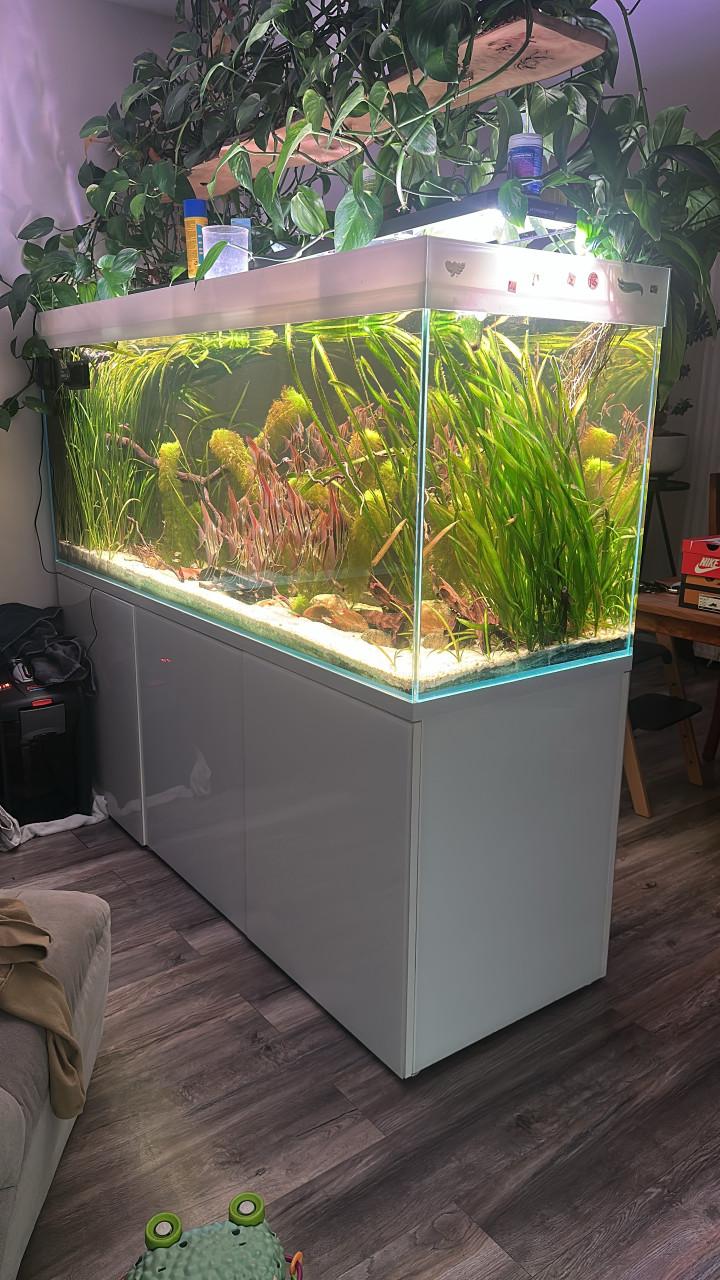 Aquarium groot aquarium 200x65x75