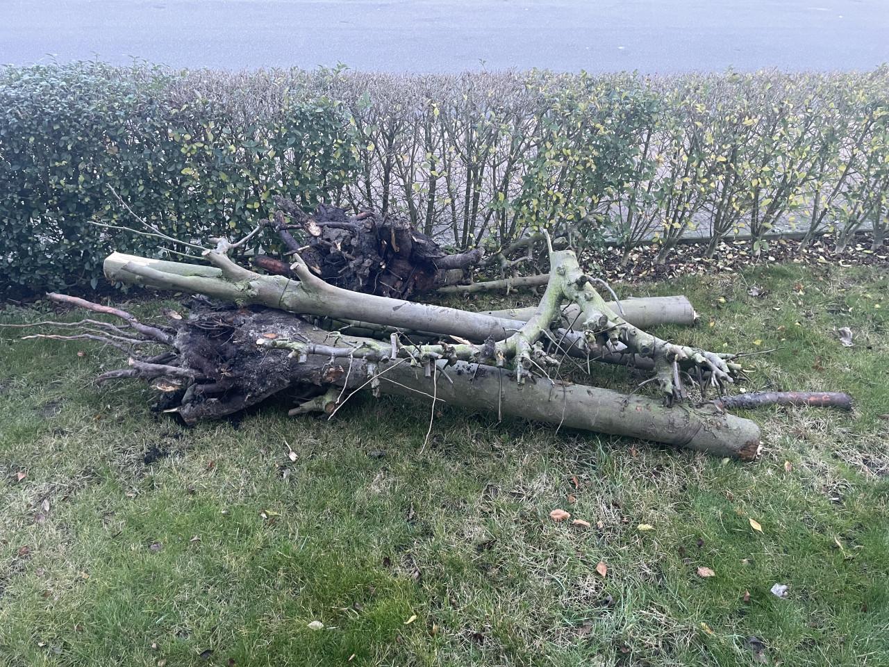 Gereserveerd Perenhout gratis op te halen