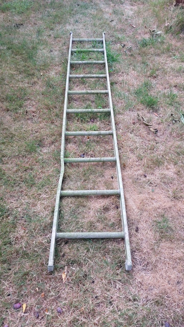 Ladder