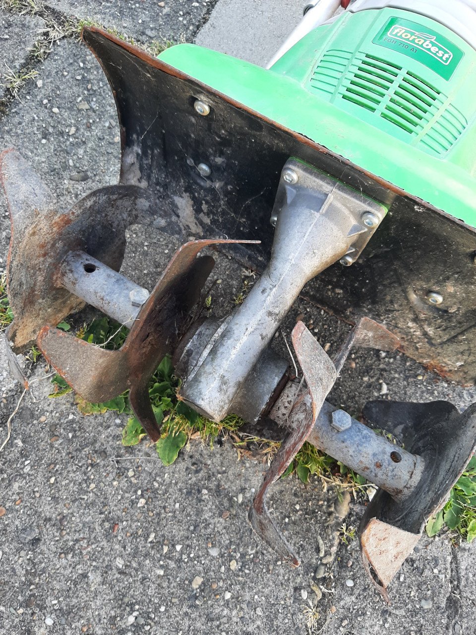Tuinfrees