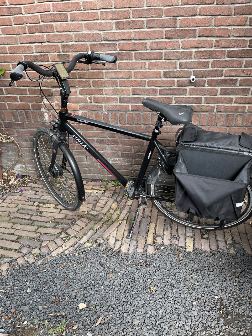 Elektronische fiets