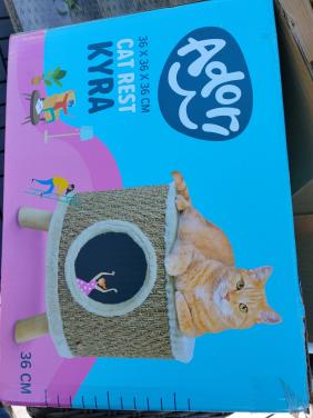 Katten verblijf nieuw