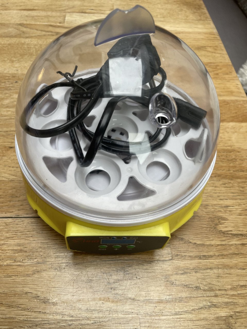 Te Koop Leuke broedmachine voor 7 eieren.