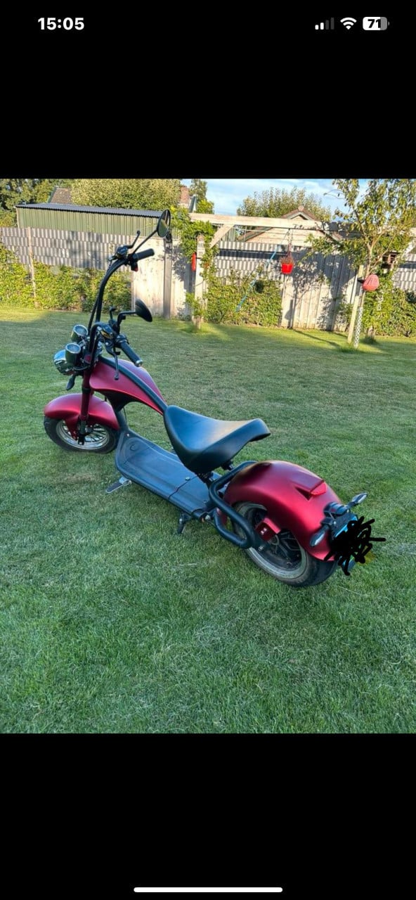 E- Chopper mangostone m1