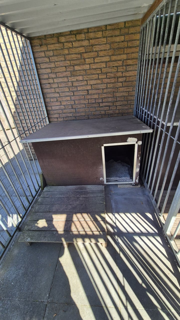 Dubbele hondenkennel met nachthokken