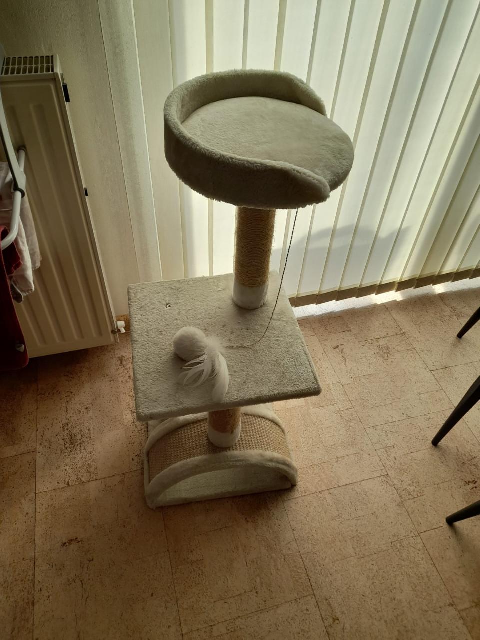 Kattenpaal