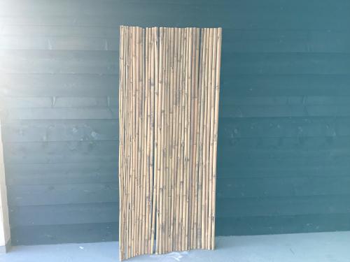 Bamboeschutting 80 cm. Nieuw Goes