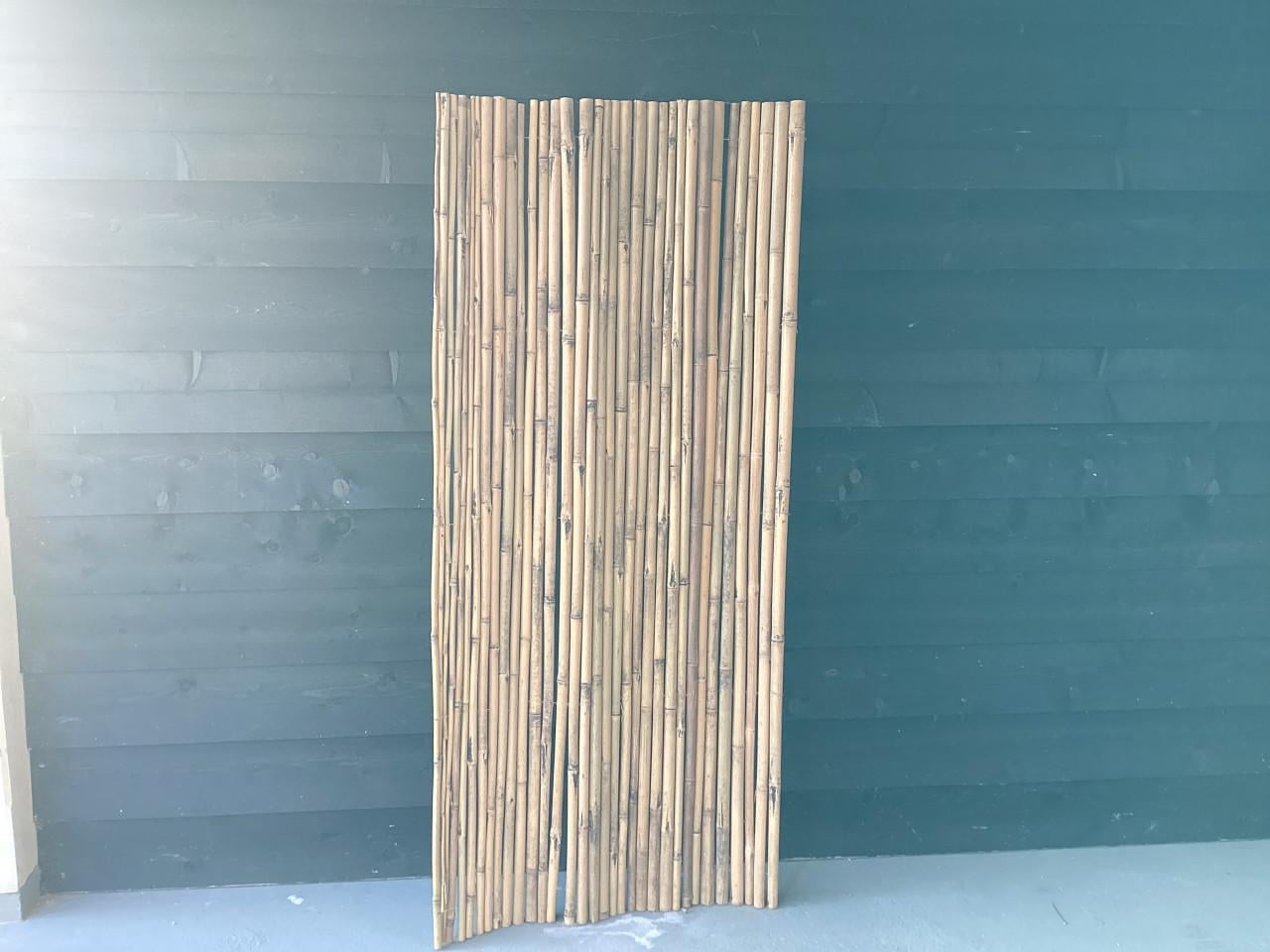 Bamboeschutting 80 cm. Nieuw Goes