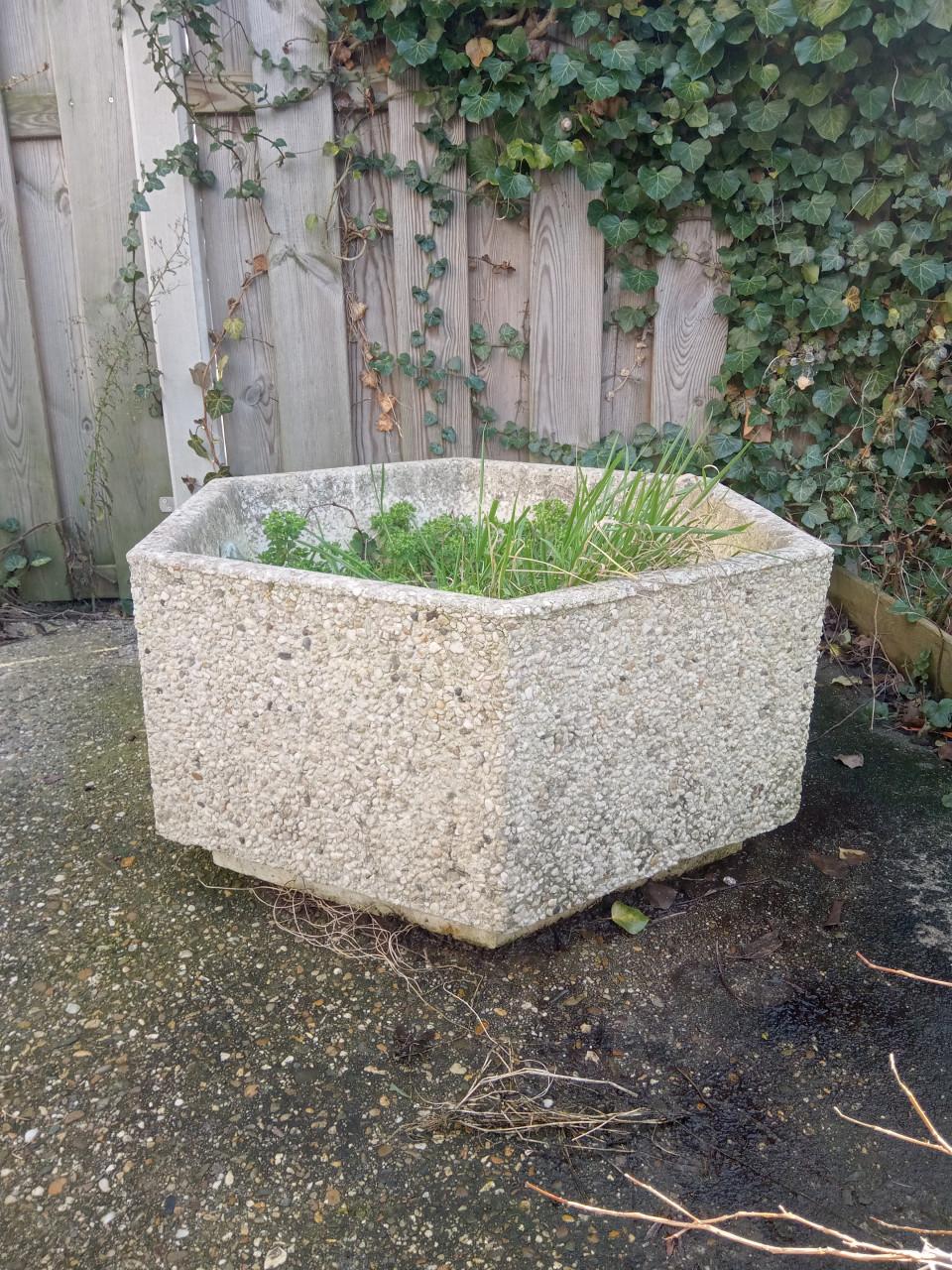 Grote betonnen plantenbak