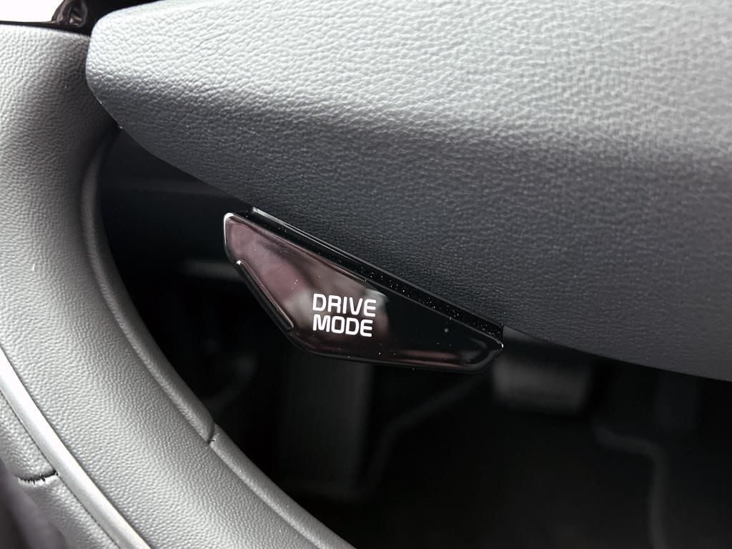Kia Niro Ev air 64.8 kwh | company car | 10 jaar garantie | parkeercamera |