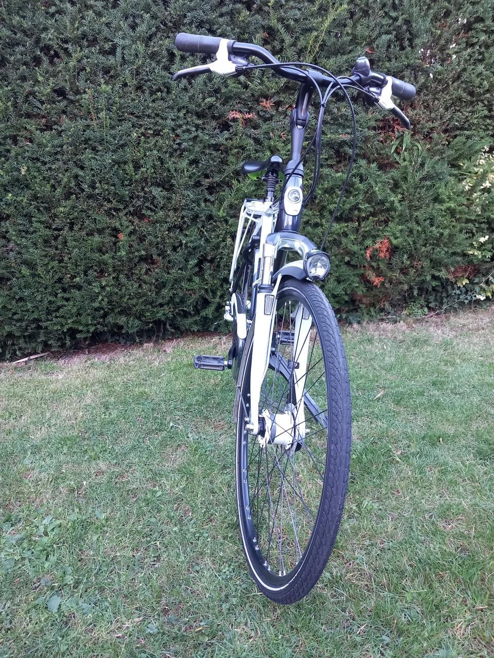 Gazelle Allure Limited Edition 28 inch