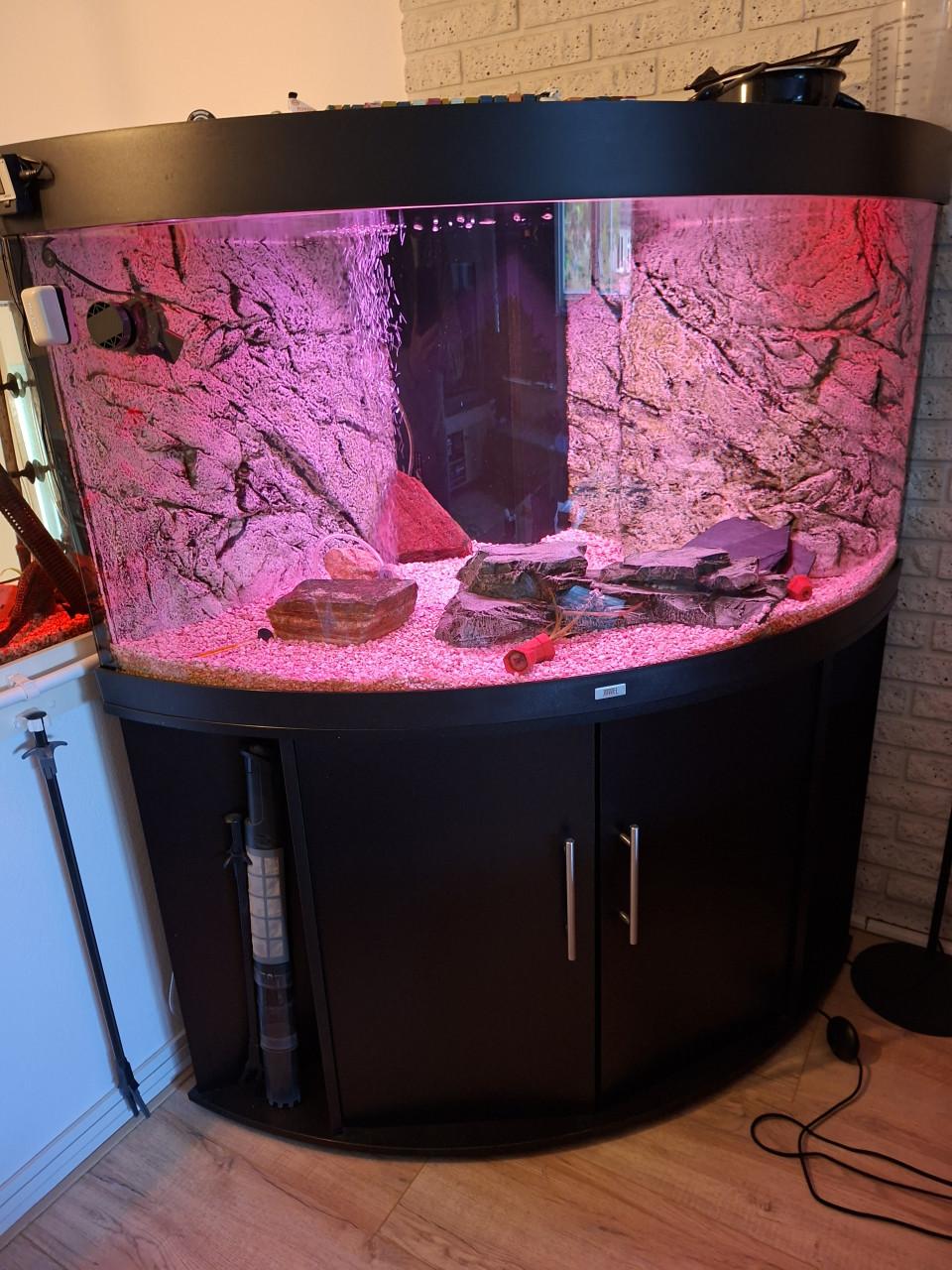 Te koop: nette Juwel 350 hoek aquarium