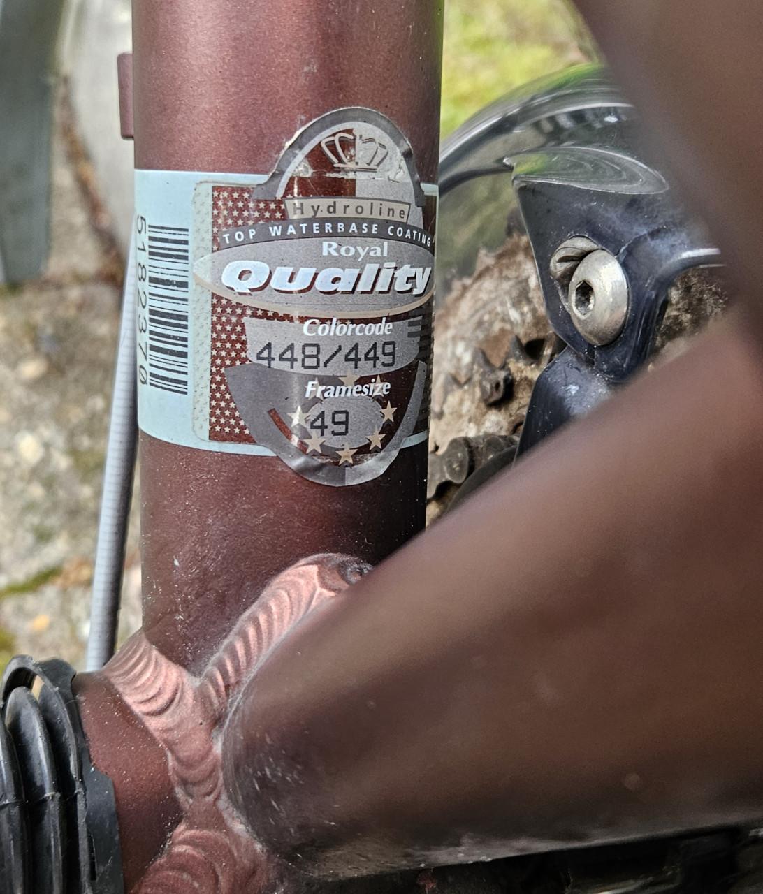 Gazelle Luzern GoldLine   damesfiets