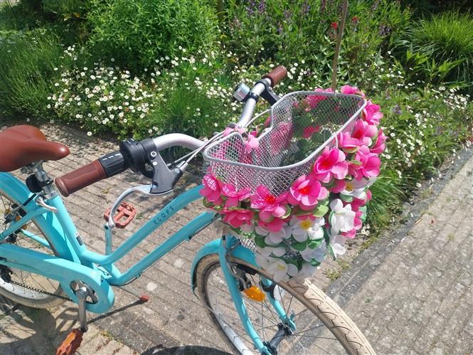 Mooie Meidenfiets
