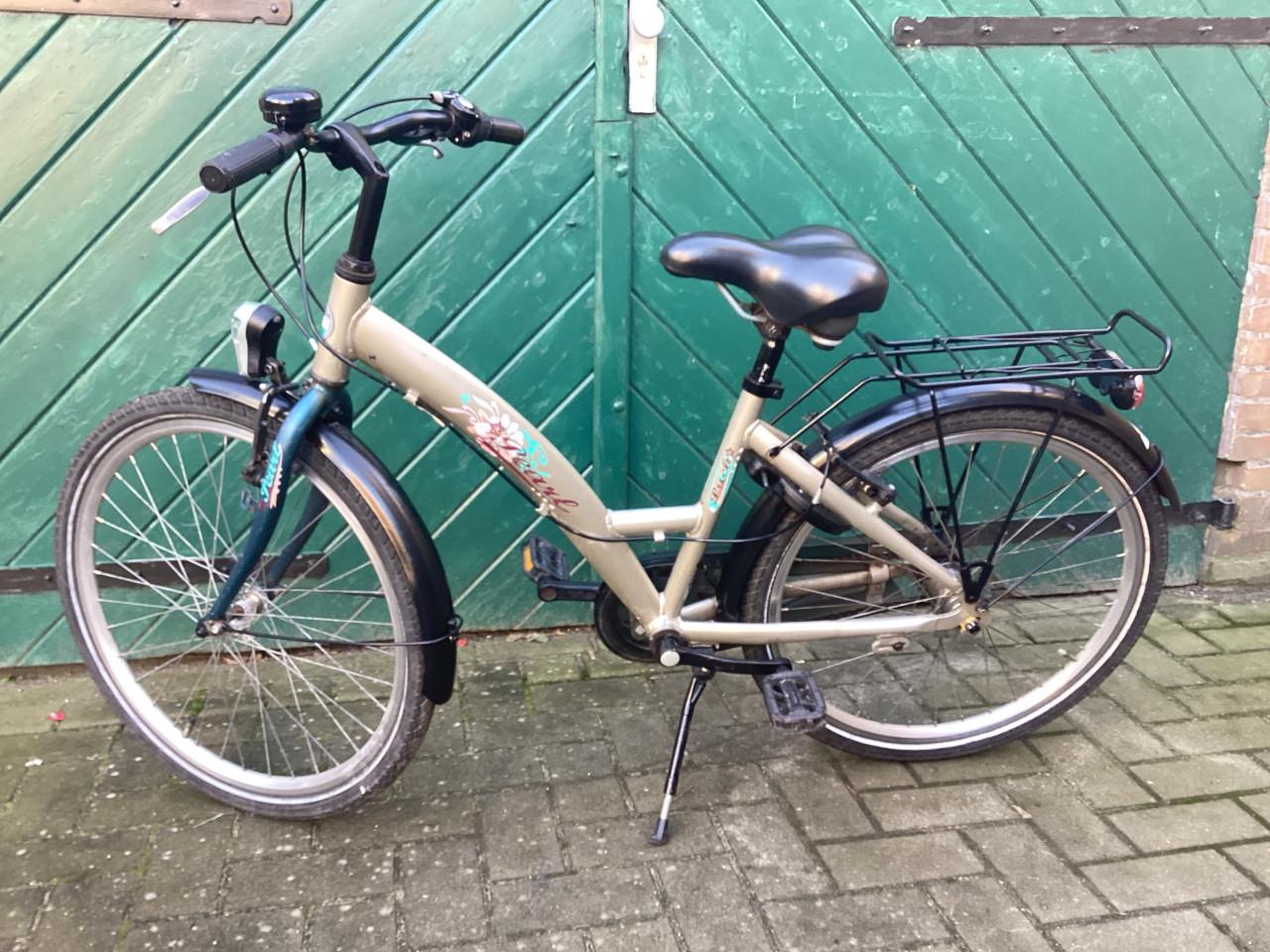Meisjes fiets