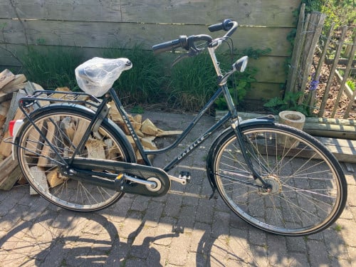 Gazelle Tournee Ambiance