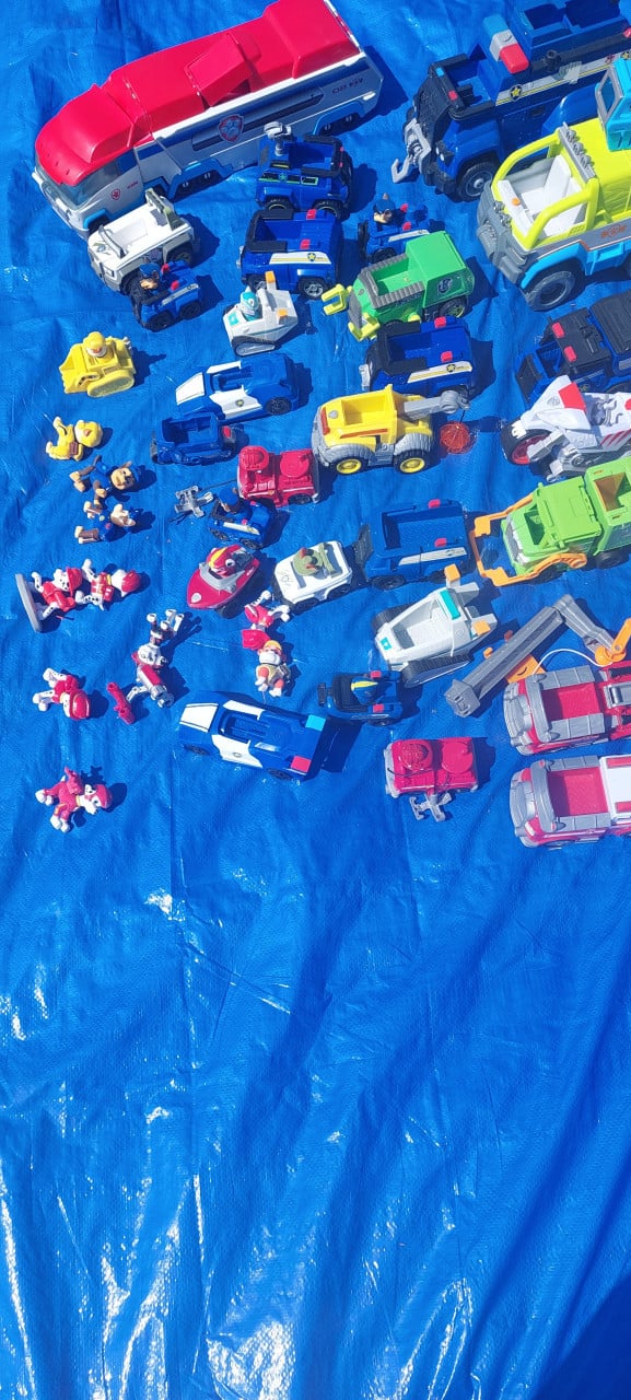 Paw patrol