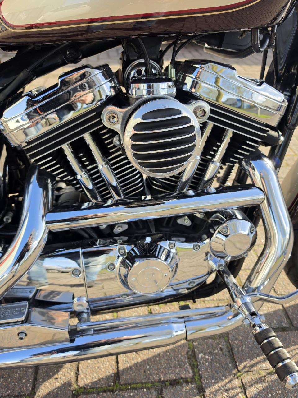 Harley-Davidson 1200😍 Custom Sportster – 95th Anniversary Edition